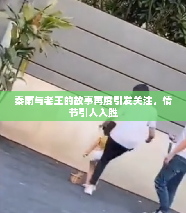 秦雨与老王的故事再度引发关注，情节引人入胜