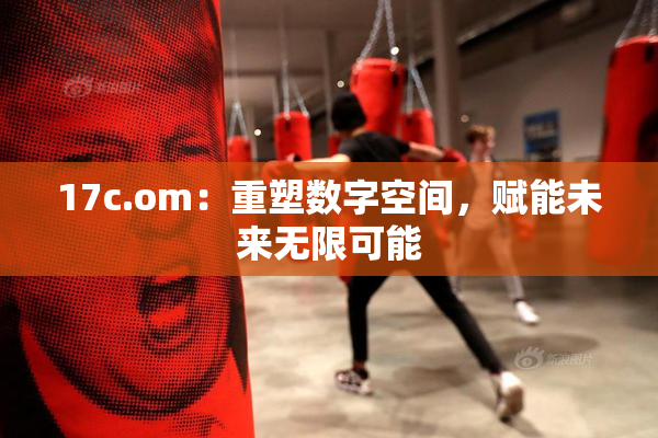 17c.om：重塑数字空间，赋能未来无限可能