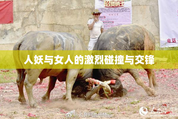 人妖与女人的激烈碰撞与交锋