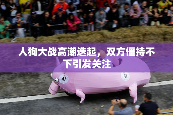 人狗大战高潮迭起，双方僵持不下引发关注