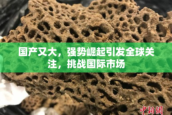 国产又大，强势崛起引发全球关注，挑战国际市场