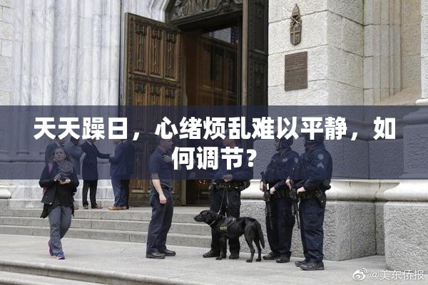天天躁日，心绪烦乱难以平静，如何调节？