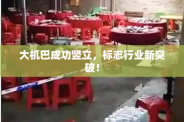 大机巴成功竖立，标志行业新突破！