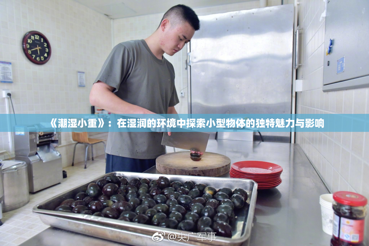 《潮湿小重》：在湿润的环境中探索小型物体的独特魅力与影响