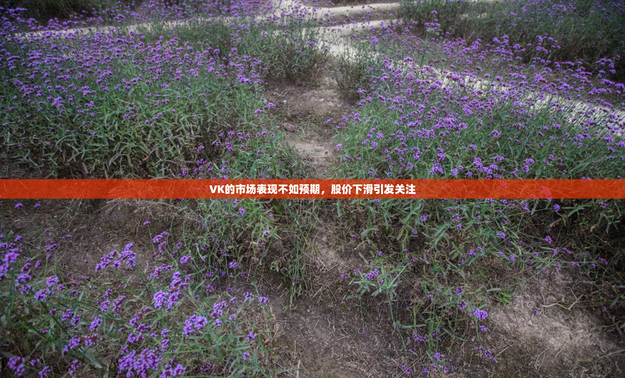 VK的市场表现不如预期，股价下滑引发关注