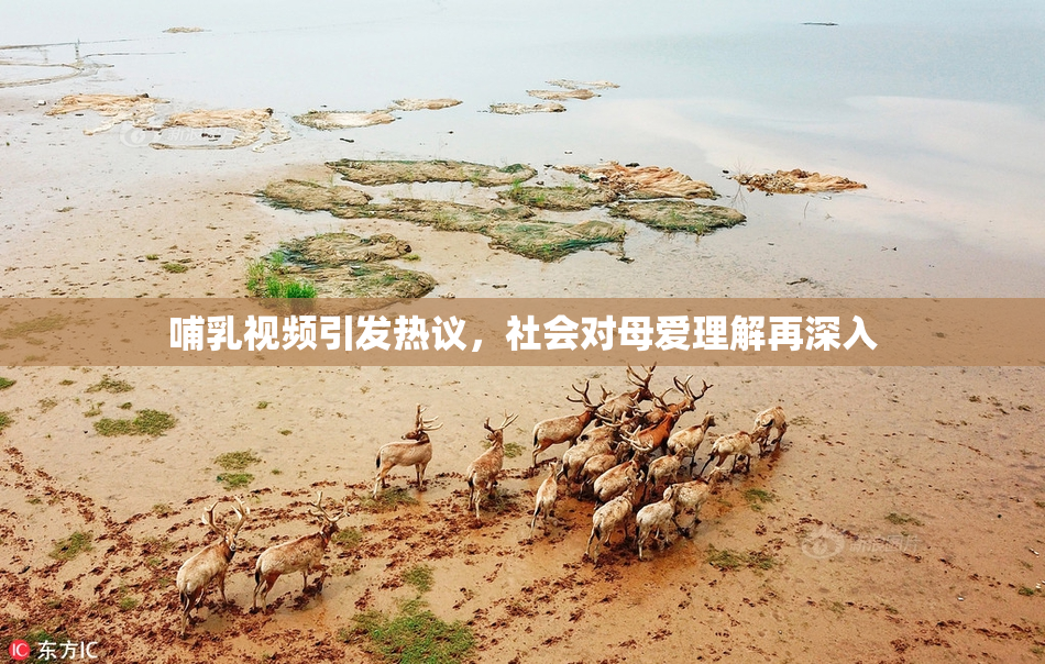 哺乳视频引发热议，社会对母爱理解再深入