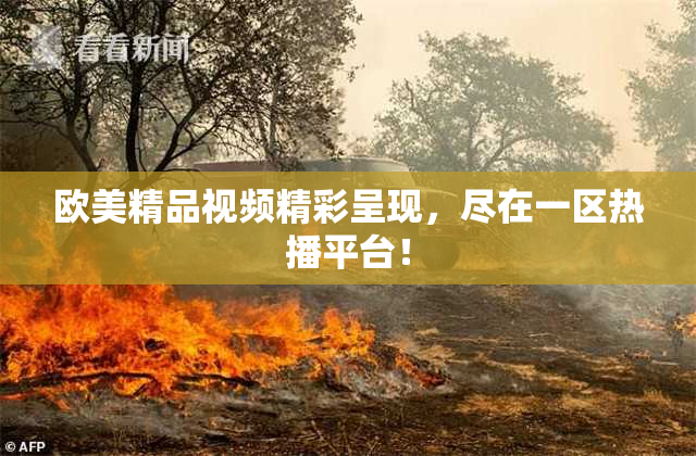 欧美精品视频精彩呈现，尽在一区热播平台！