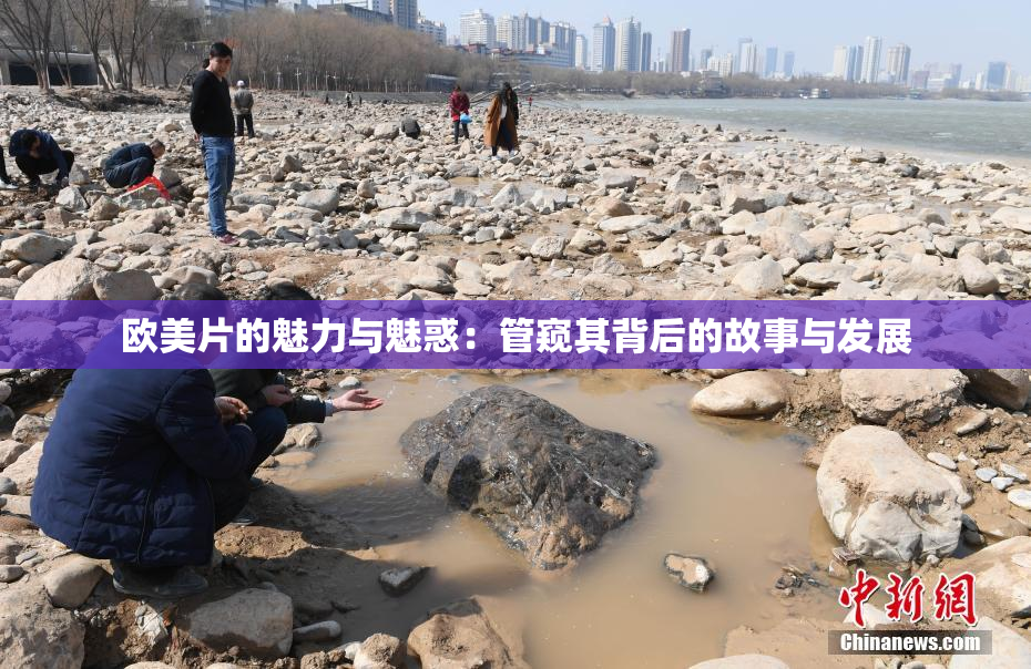 欧美片的魅力与魅惑：管窥其背后的故事与发展