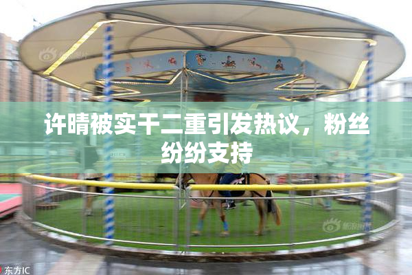 许晴被实干二重引发热议，粉丝纷纷支持
