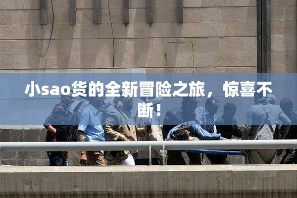 小sao货的全新冒险之旅，惊喜不断！