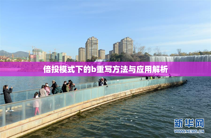 倍投模式下的b重写方法与应用解析