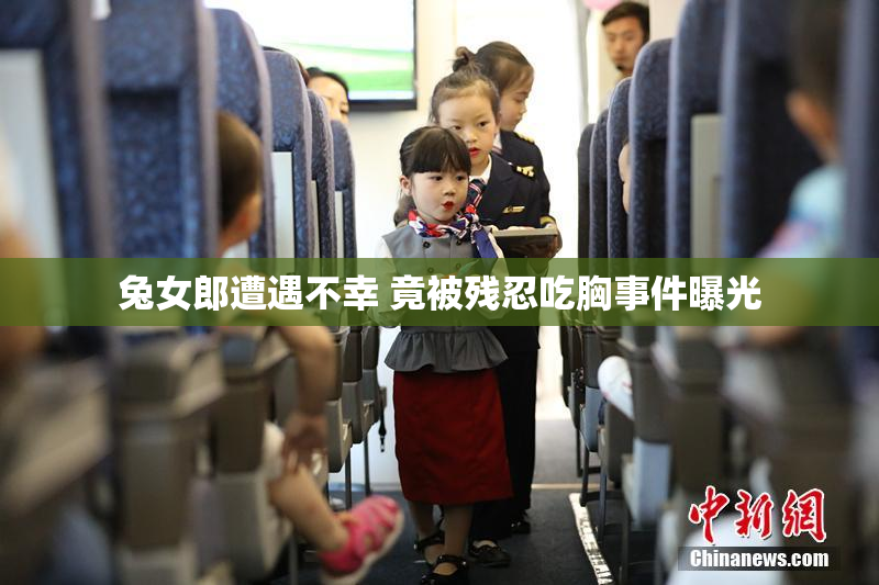 兔女郎遭遇不幸 竟被残忍吃胸事件曝光