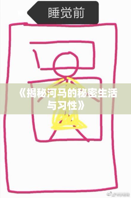 《揭秘河马的秘密生活与习性》
