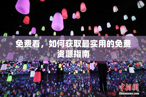 免费看，如何获取最实用的免费资源指南