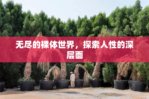 无尽的裸体世界，探索人性的深层面