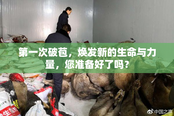 第一次破苞，焕发新的生命与力量，您准备好了吗？