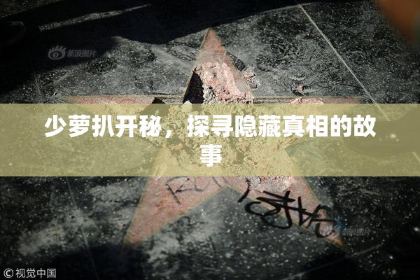 少萝扒开秘，探寻隐藏真相的故事