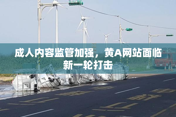 成人内容监管加强，黄A网站面临新一轮打击