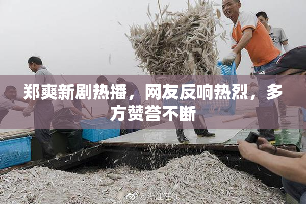 郑爽新剧热播，网友反响热烈，多方赞誉不断