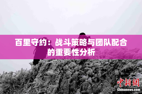 百里守约：战斗策略与团队配合的重要性分析