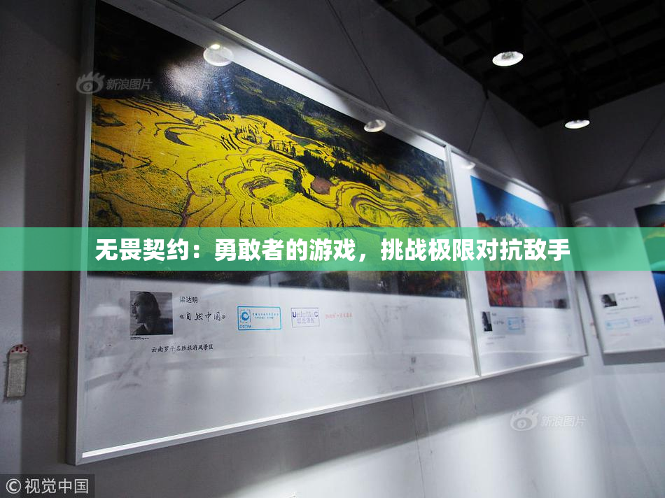 无畏契约：勇敢者的游戏，挑战极限对抗敌手