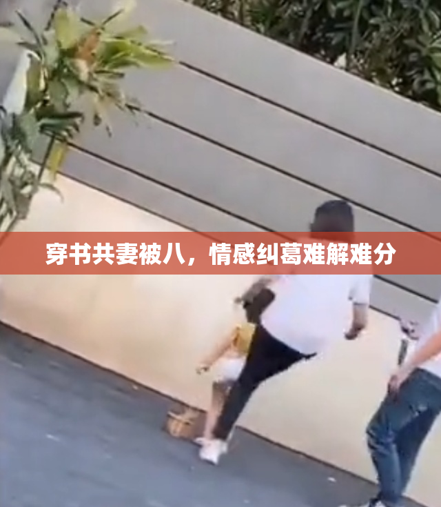 穿书共妻被八，情感纠葛难解难分