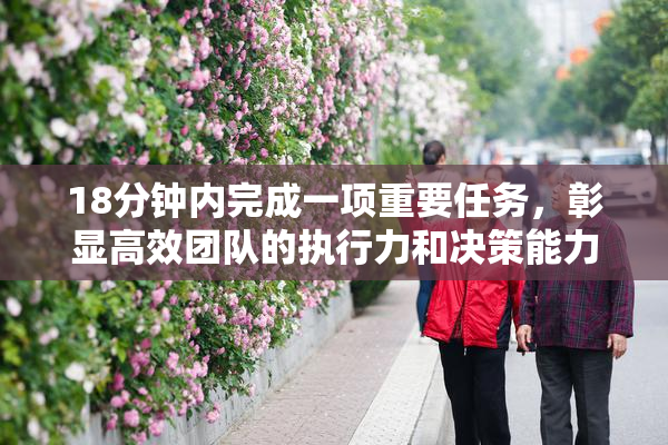 18分钟内完成一项重要任务，彰显高效团队的执行力和决策能力