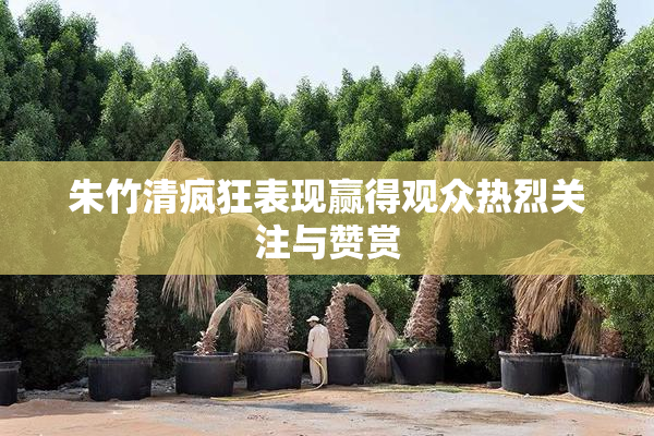朱竹清疯狂表现赢得观众热烈关注与赞赏