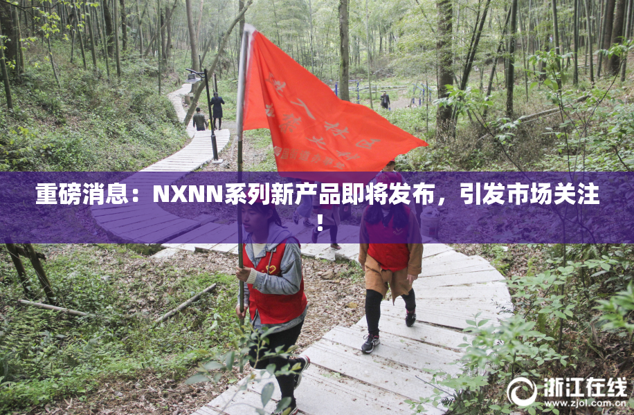 重磅消息：NXNN系列新产品即将发布，引发市场关注！