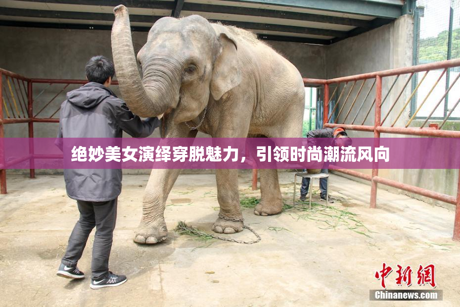 绝妙美女演绎穿脱魅力，引领时尚潮流风向