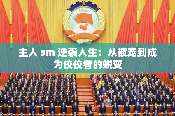 主人 sm 逆袭人生：从被宠到成为佼佼者的蜕变