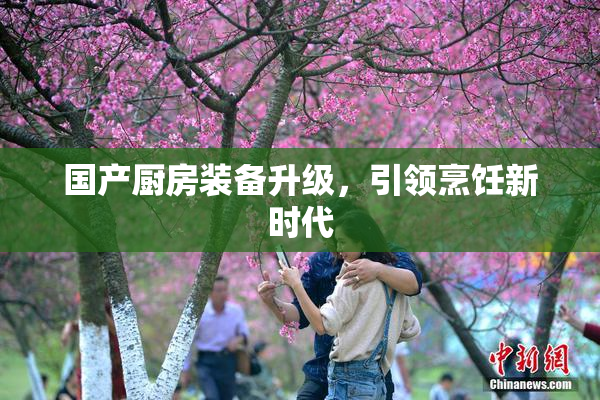 国产厨房装备升级，引领烹饪新时代