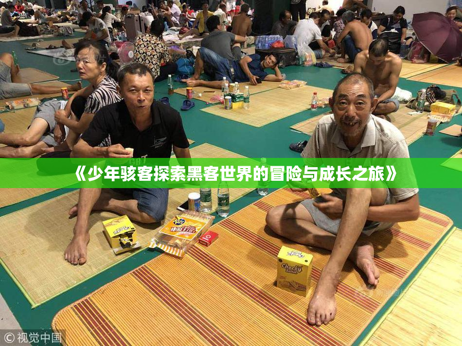 《少年骇客探索黑客世界的冒险与成长之旅》