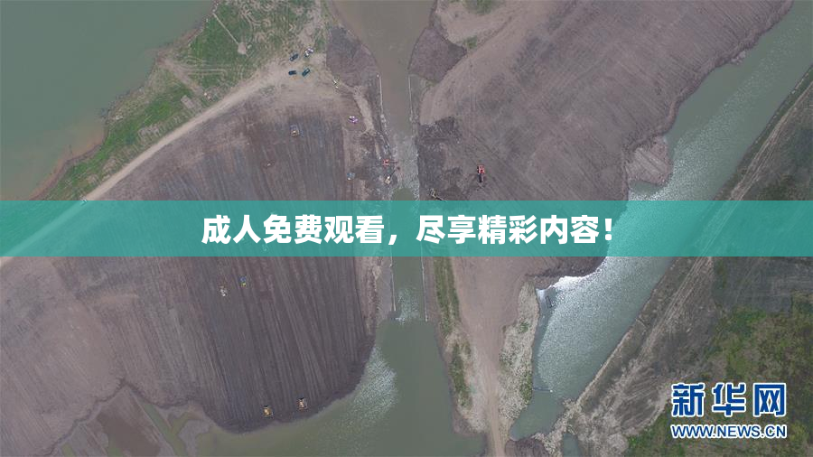 成人免费观看，尽享精彩内容！