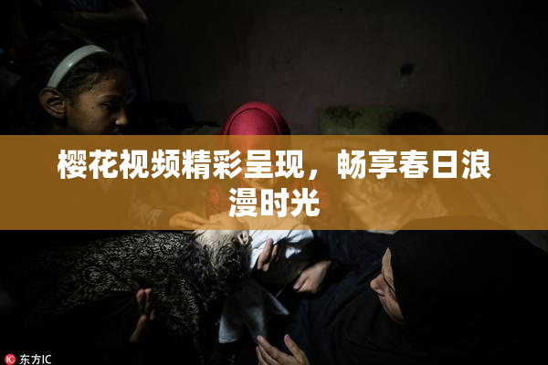 樱花视频精彩呈现，畅享春日浪漫时光