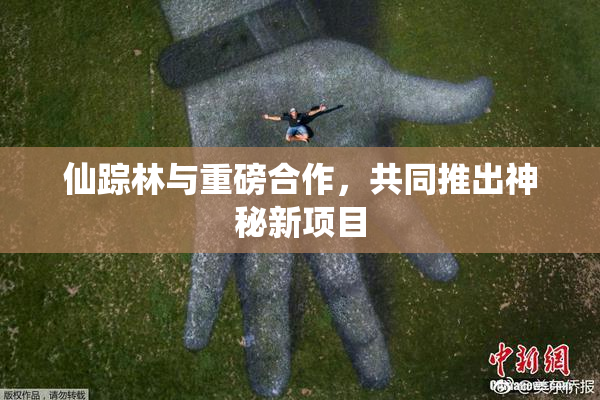 仙踪林与重磅合作，共同推出神秘新项目