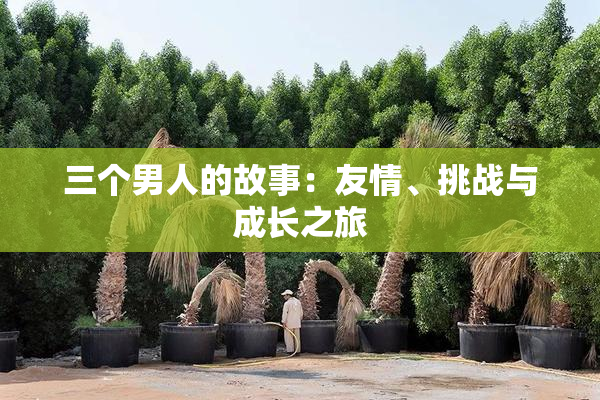 三个男人的故事：友情、挑战与成长之旅