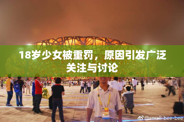 18岁少女被重罚，原因引发广泛关注与讨论