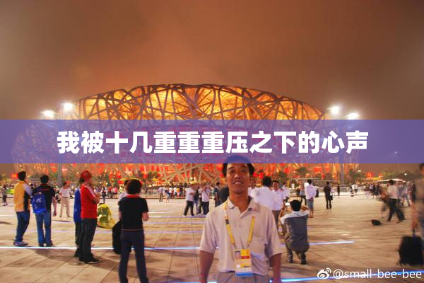 我被十几重重重压之下的心声