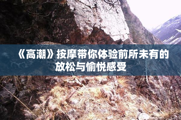 《高潮》按摩带你体验前所未有的放松与愉悦感受