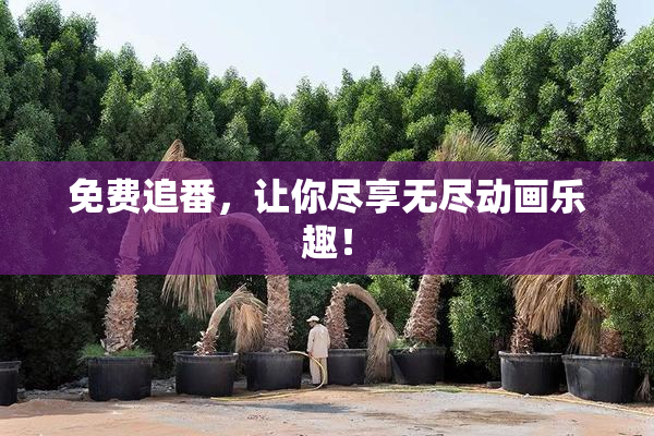免费追番，让你尽享无尽动画乐趣！