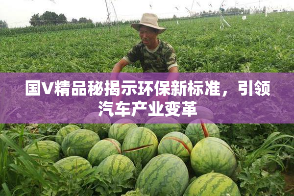 国V精品秘揭示环保新标准，引领汽车产业变革