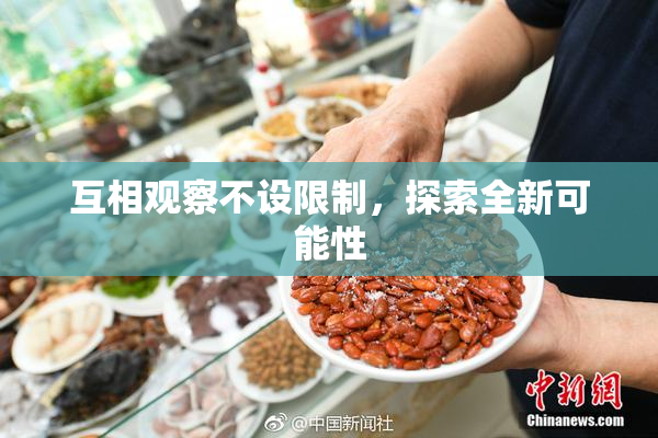 互相观察不设限制，探索全新可能性