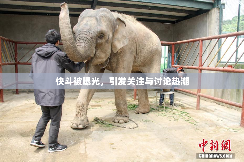 快斗被曝光，引发关注与讨论热潮