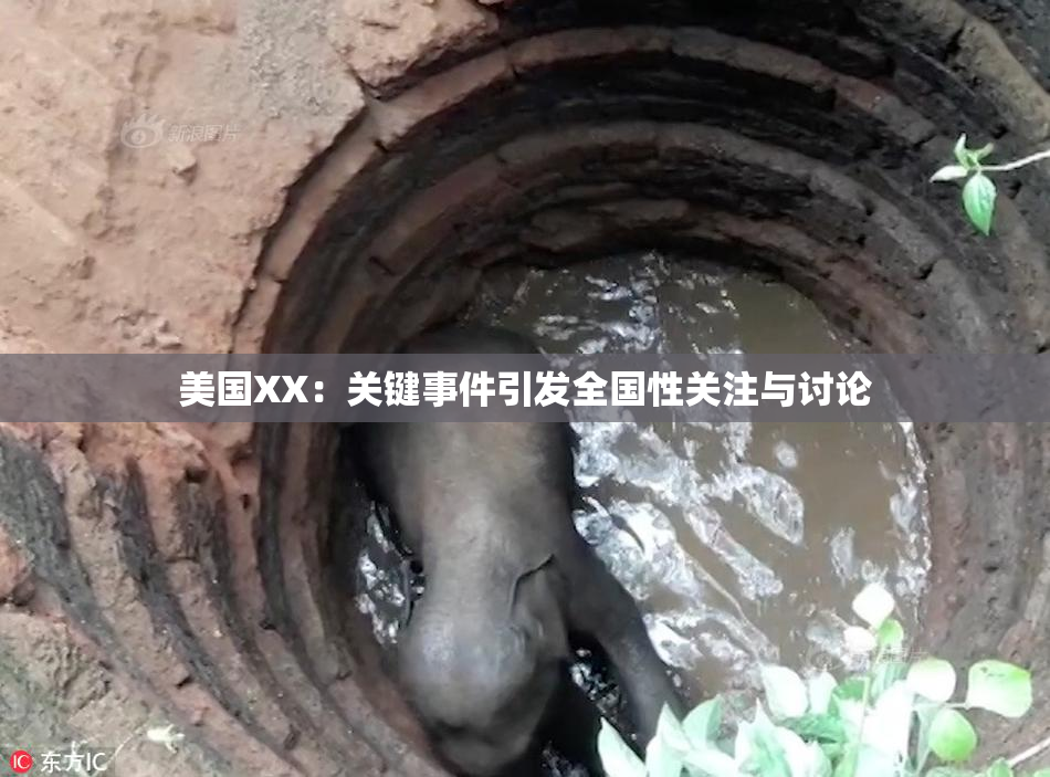 美国XX：关键事件引发全国性关注与讨论