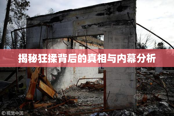 揭秘狂揉背后的真相与内幕分析