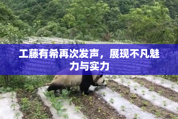工藤有希再次发声，展现不凡魅力与实力