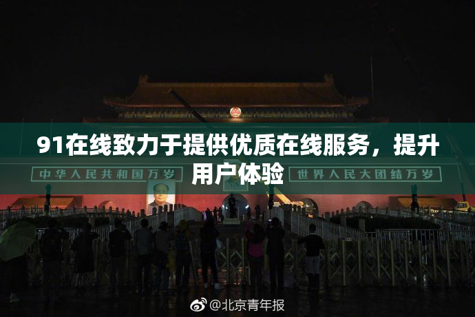 91在线致力于提供优质在线服务，提升用户体验