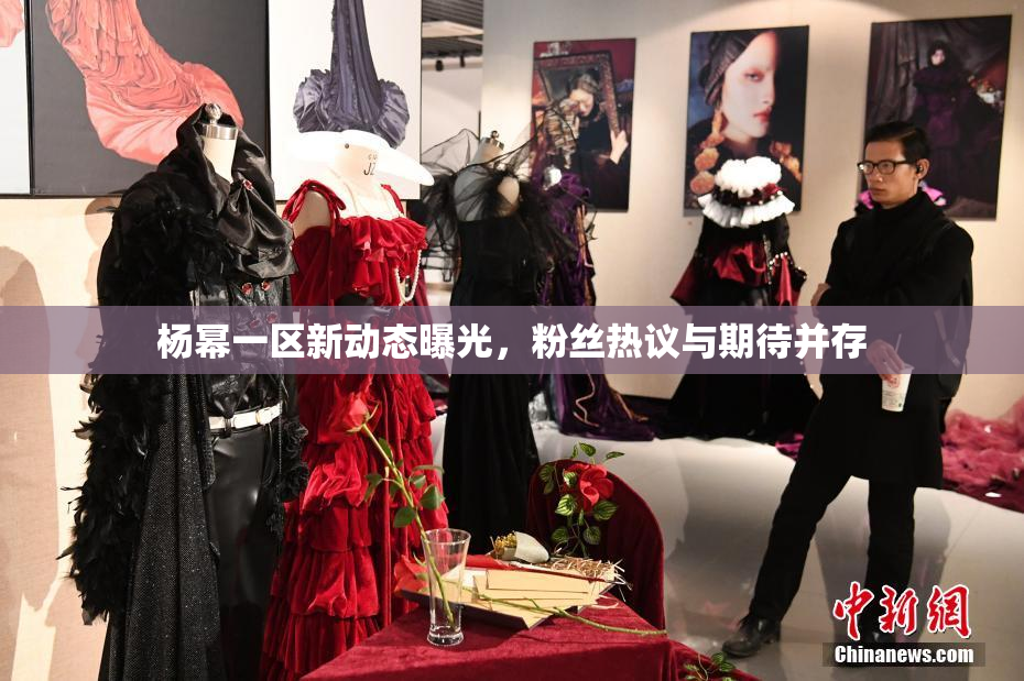 杨幂一区新动态曝光，粉丝热议与期待并存