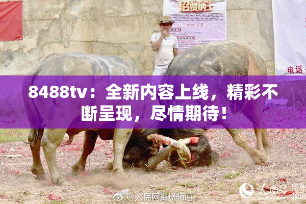 8488tv：全新内容上线，精彩不断呈现，尽情期待！